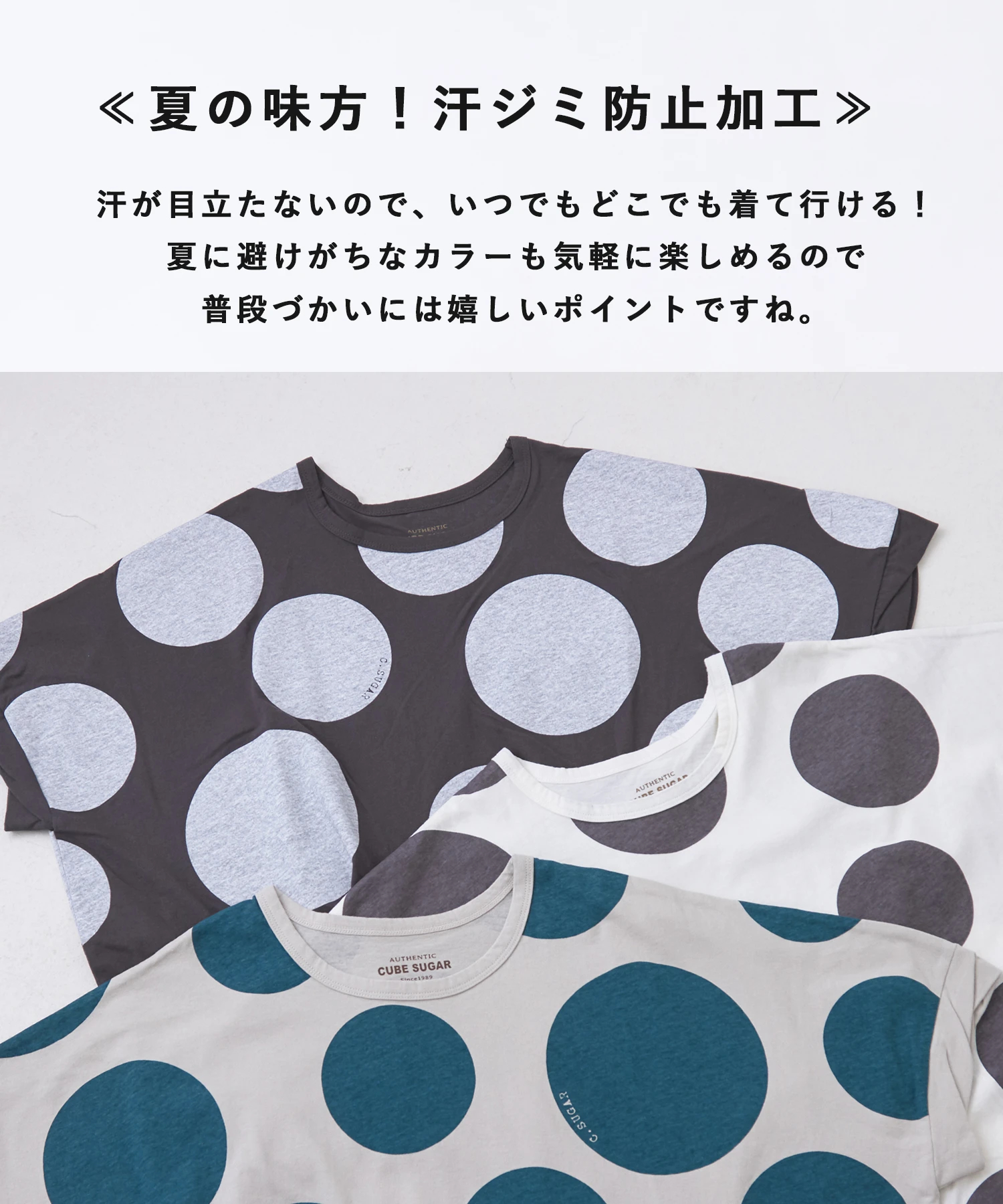 がじゅまる 楽天市場】ガジュマル がじゅまる 7.5cmポット 【 送料無料