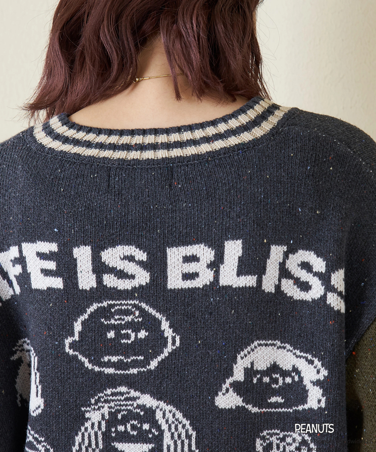 CUBE SUGAR(キューブシュガー) |【セール除外商品】【秋冬新作】PEANUTS ( ピーナッツ ) ネップヤーン ライン入り Vネック プルオーバー ニット