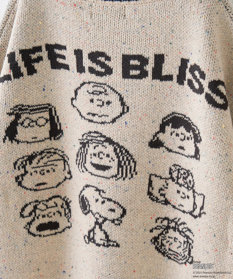 CUBE SUGAR(キューブシュガー) |【セール除外商品】【秋冬新作】PEANUTS ( ピーナッツ ) ネップヤーン ライン入り Vネック プルオーバー ニット