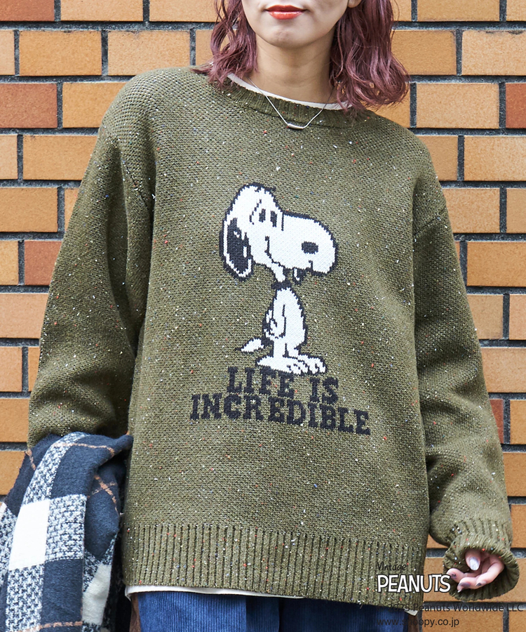 CUBE SUGAR(キューブシュガー) |PEANUTS  ( ピーナッツ ) 1/16ネップヤーン ニット バックロゴ プルオーバー