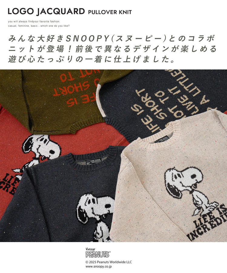 CUBE SUGAR(キューブシュガー) |PEANUTS  ( ピーナッツ ) 1/16ネップヤーン ニット バックロゴ プルオーバー