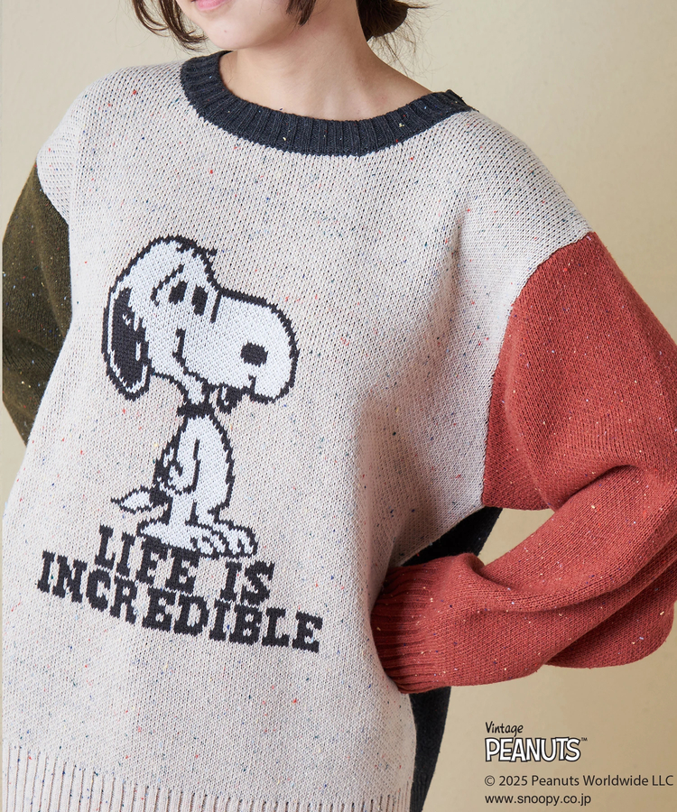 CUBE SUGAR(キューブシュガー) |PEANUTS  ( ピーナッツ ) 1/16ネップヤーン ニット バックロゴ プルオーバー