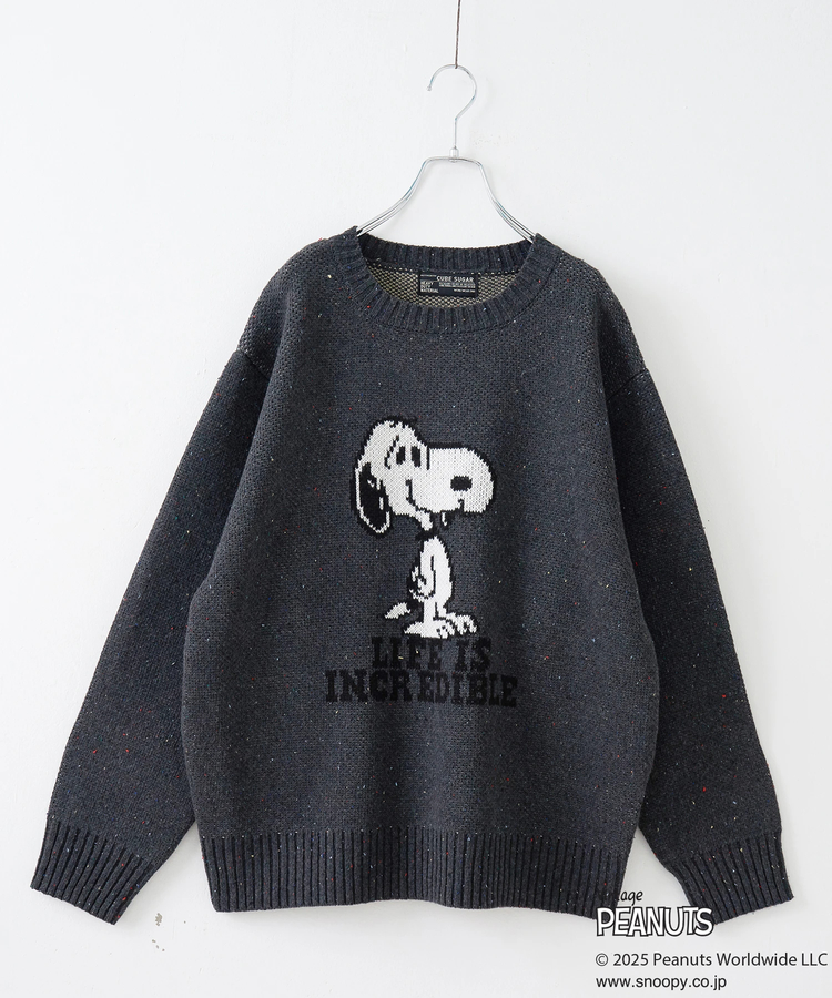 CUBE SUGAR(キューブシュガー) |PEANUTS  ( ピーナッツ ) 1/16ネップヤーン ニット バックロゴ プルオーバー