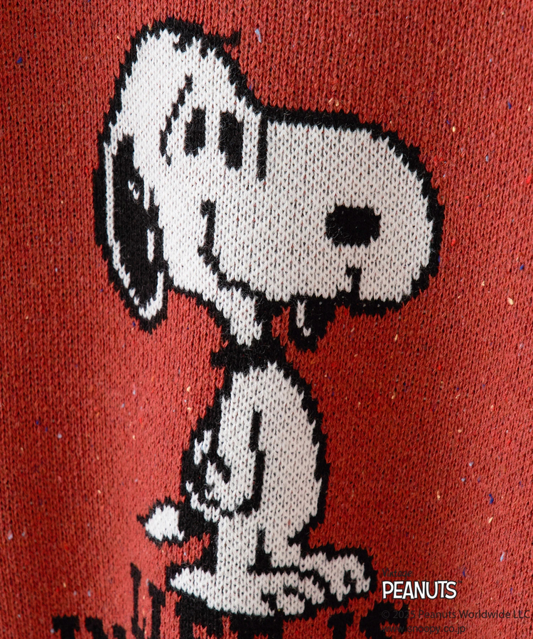 CUBE SUGAR(キューブシュガー) |PEANUTS  ( ピーナッツ ) 1/16ネップヤーン ニット バックロゴ プルオーバー