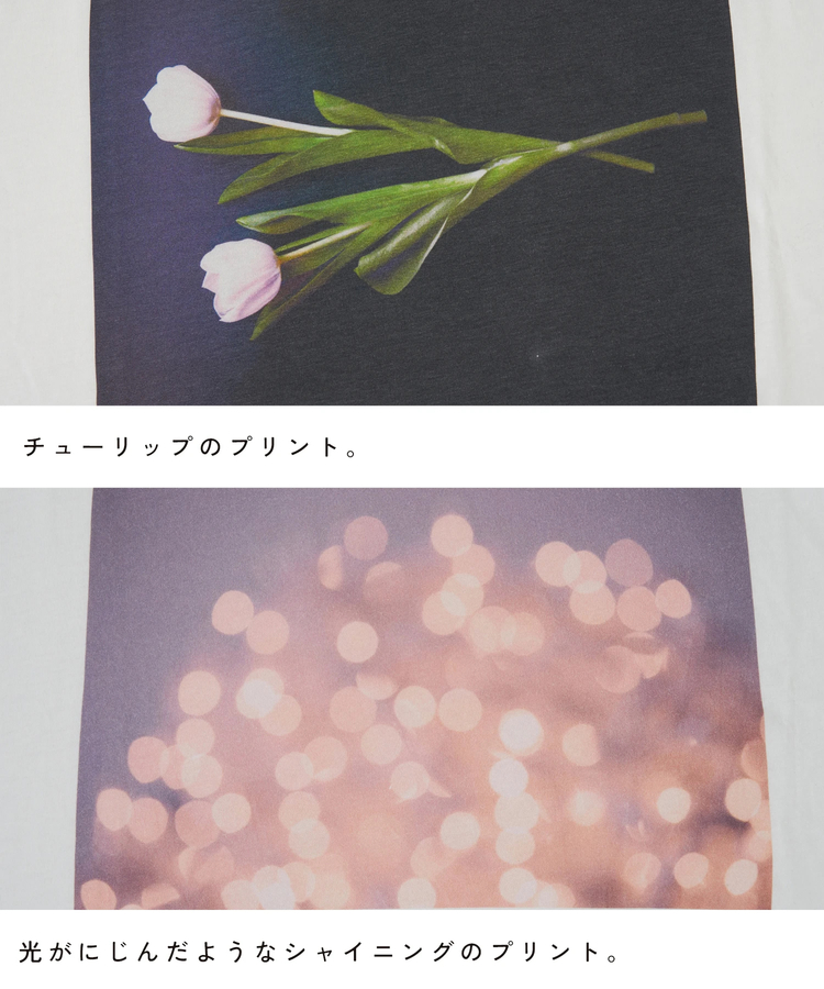 SELECT(セレクト) |【春夏新作】WEB限定 フォトグラフ Tシャツ
